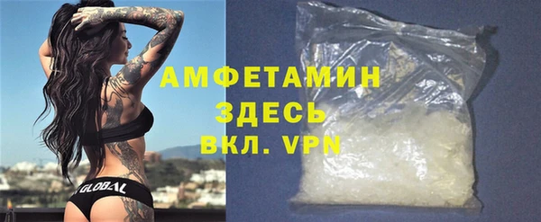 прущие грибы Абинск