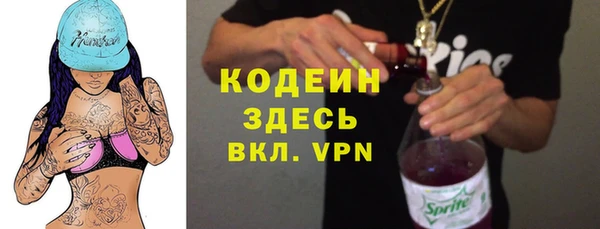 крисы Абаза