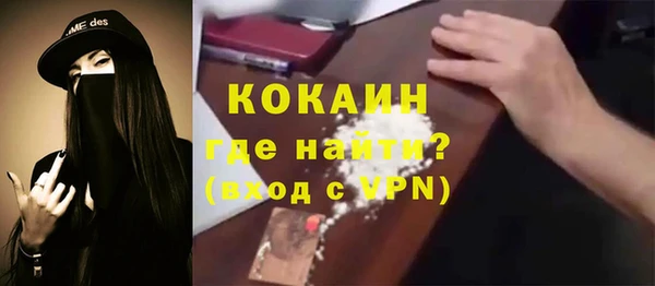 прущие грибы Абинск
