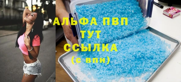 прущие грибы Абинск