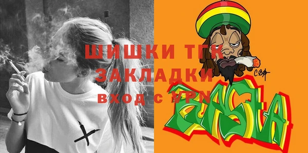 прущие грибы Абинск