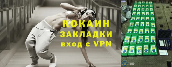 крисы Абаза