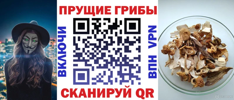 Галлюциногенные грибы Psilocybine cubensis  hydra маркетплейс  Полтавская 
