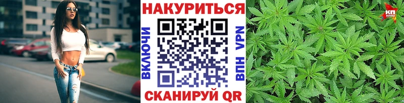 Бошки Шишки ГИДРОПОН Полтавская